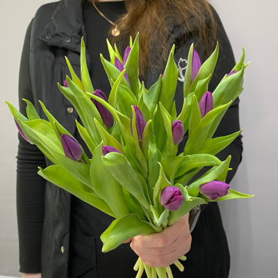 photo_5350830597532149770_y