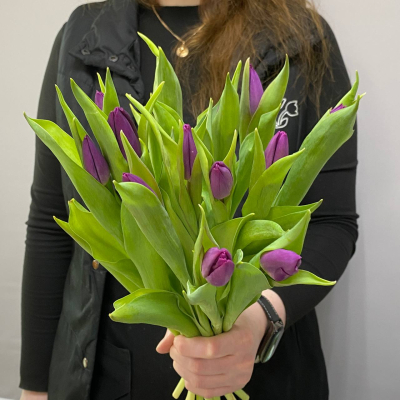 photo_5350344201075811129_y