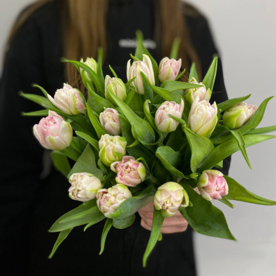 photo_5314440396195099592_y