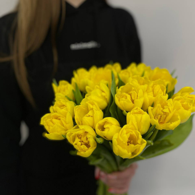 photo_5314621188548455647_y