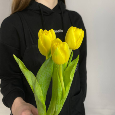 photo_5314621188548455535_y