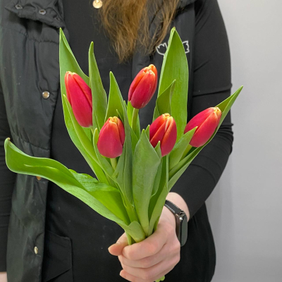 photo_5350344201075811118_y