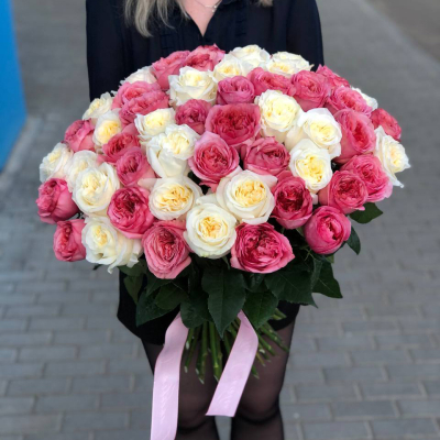 photo_5199660861248102146_y