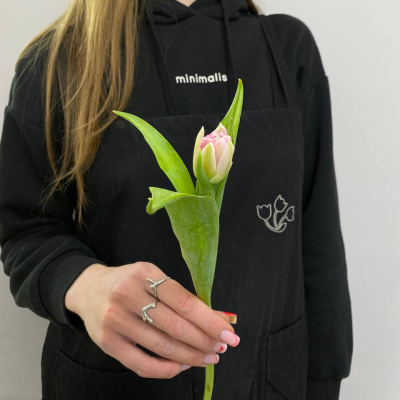 photo_5316872988362140372_y