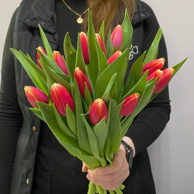 photo_5350344201075811119_y