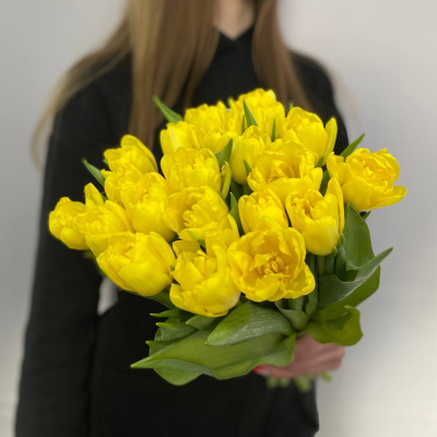 photo_5314621188548455641_y