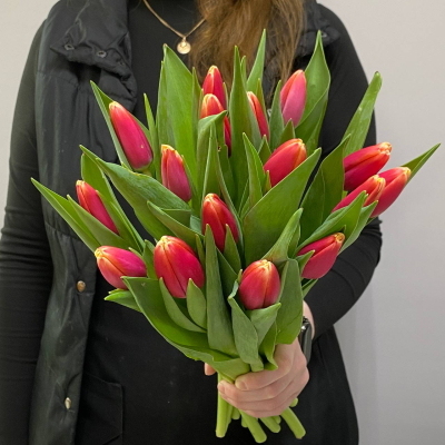 photo_5350830597532149751_y