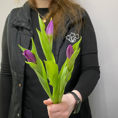 photo_5350773581841301502_y