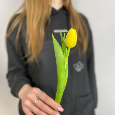 photo_5314621188548455532_y