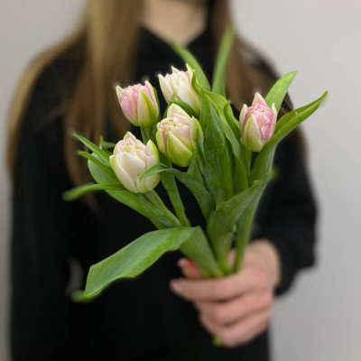 photo_5316872988362140378_y