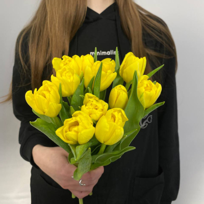 photo_5314621188548455633_y