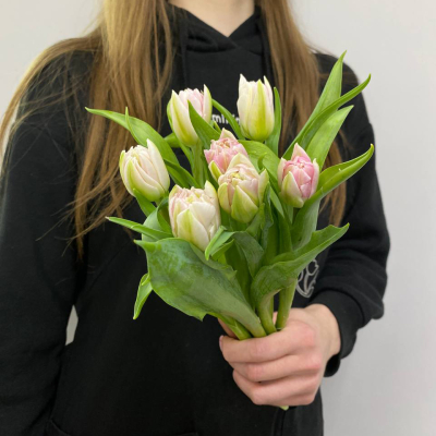 photo_5316872988362140381_y