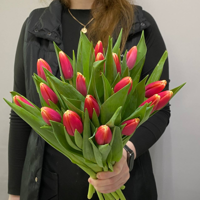 photo_5350830597532149753_y