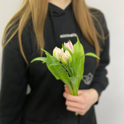 photo_5316872988362140373_y