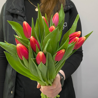 photo_5350830597532149748_y