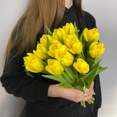 photo_5314621188548455638_y