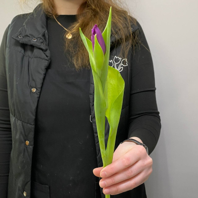 photo_5350830597532149761_y