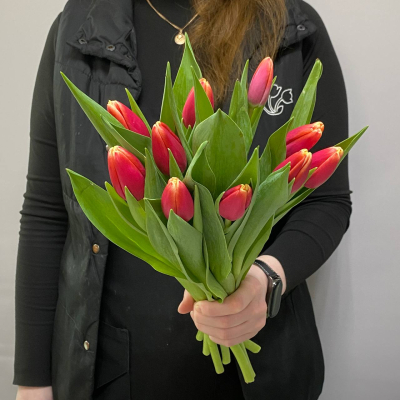 photo_5350830597532149747_y