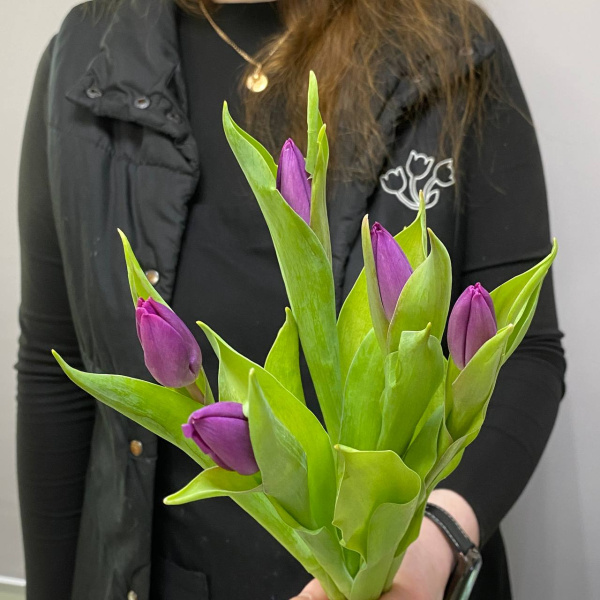 photo_5350830597532149763_y