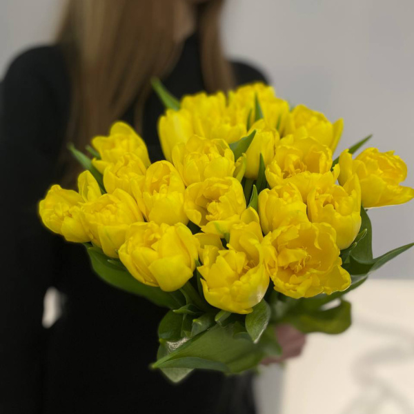 photo_5314621188548455645_y