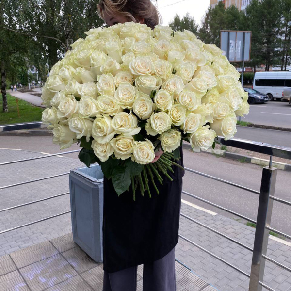 photo_5199660861248102128_y