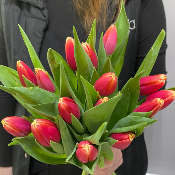 photo_5350830597532149749_y