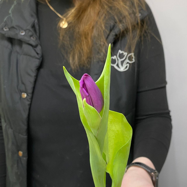 photo_5350773581841301501_y