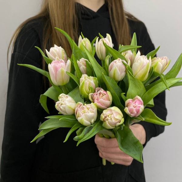 photo_5314440396195099589_y