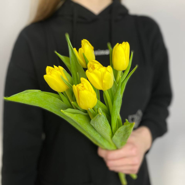 photo_5314621188548455621_y