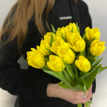 photo_5314621188548455636_y