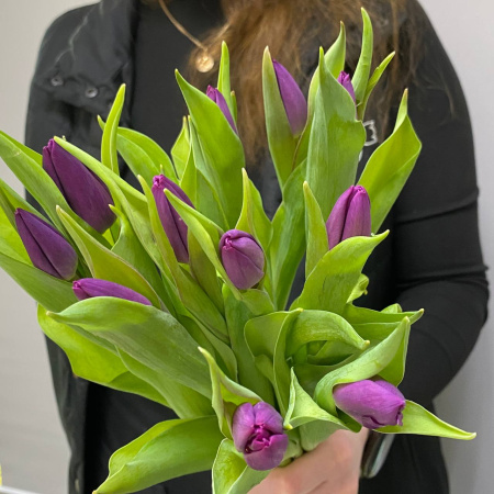 photo_5350344201075811127_y