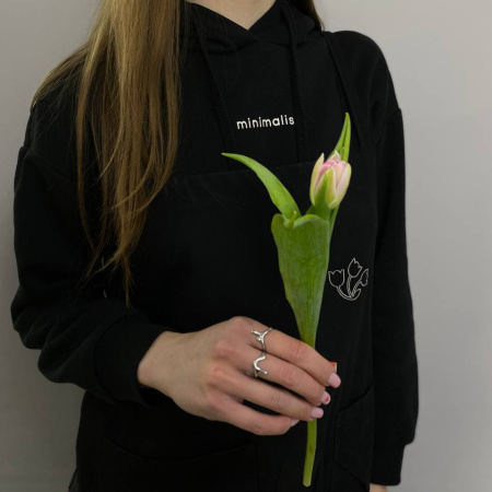 photo_5316872988362140370_y