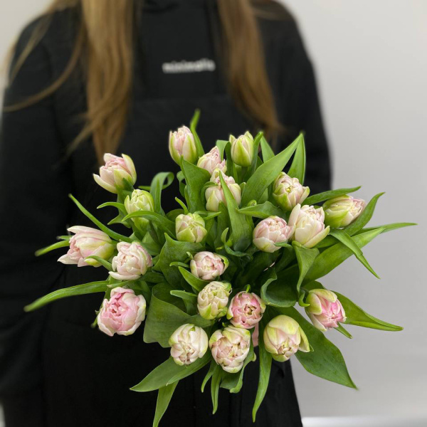 photo_5316872988362140393_y