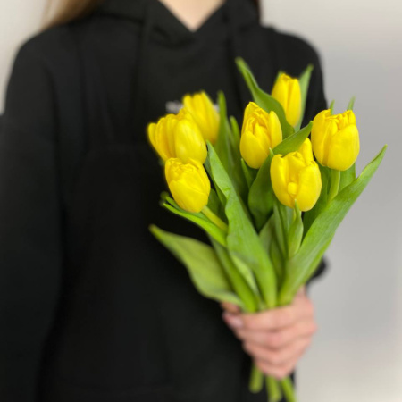 photo_5314621188548455626_y