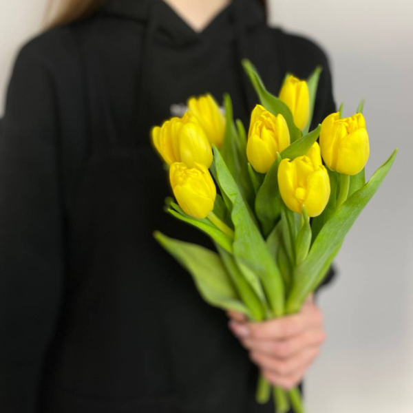 photo_5314621188548455626_y