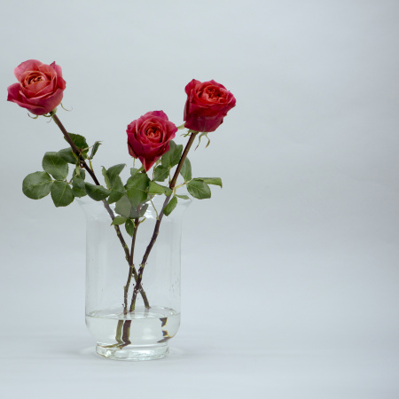 Афина 16х26