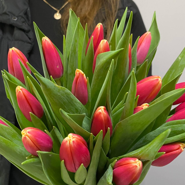 photo_5350830597532149752_y