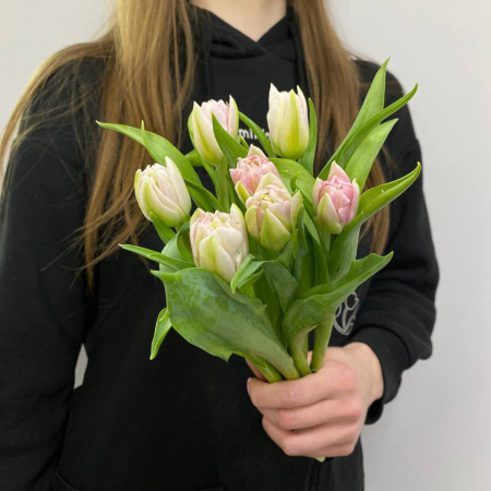 photo_5316872988362140381_y