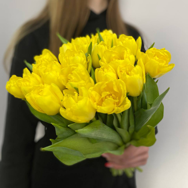 photo_5314621188548455639_y