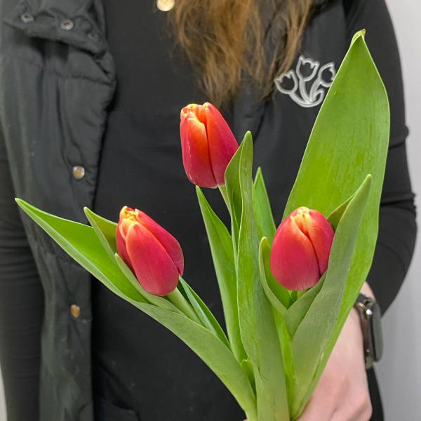 photo_5350830597532149738_y