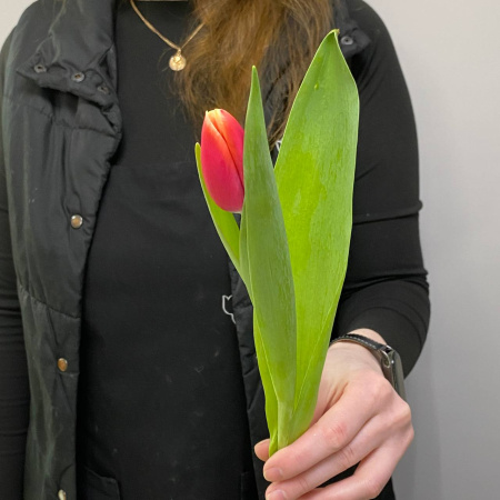 photo_5350830597532149737_y