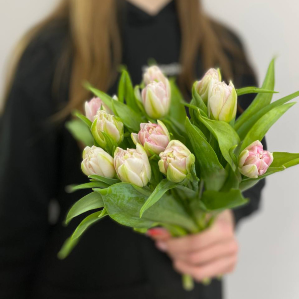 photo_5316872988362140388_y