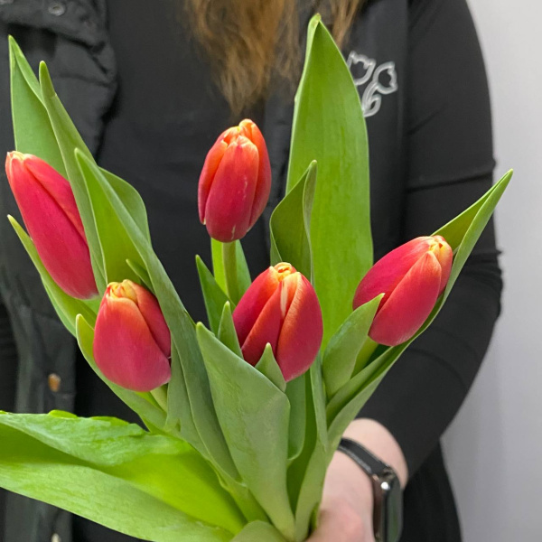 photo_5350830597532149740_y