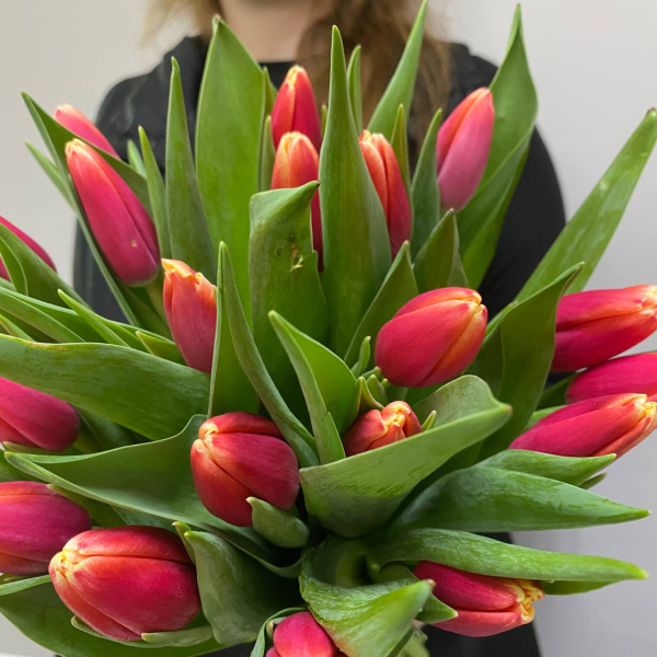 photo_5350830597532149754_y