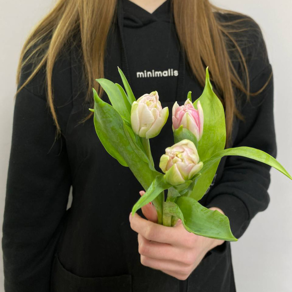 photo_5314440396195099586_y