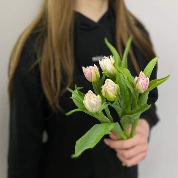 photo_5316872988362140377_y