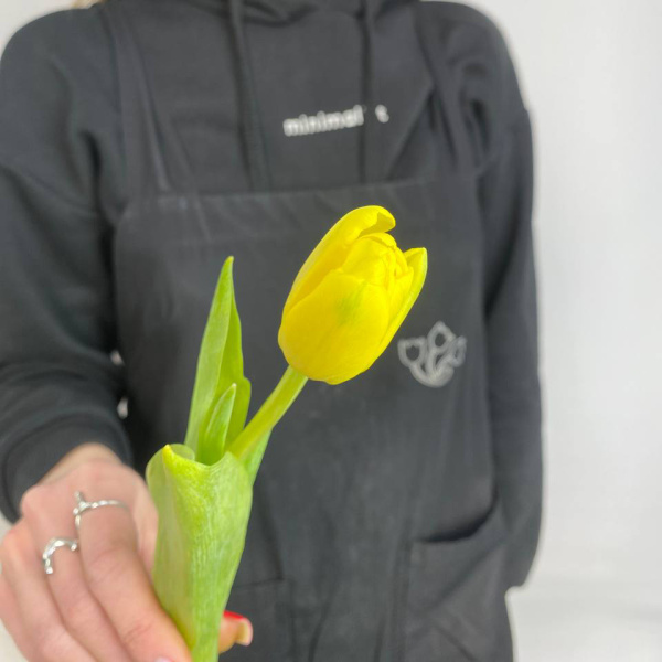 photo_5314621188548455534_y