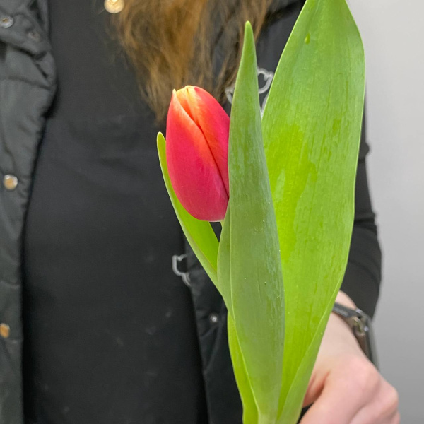 photo_5350830597532149736_y